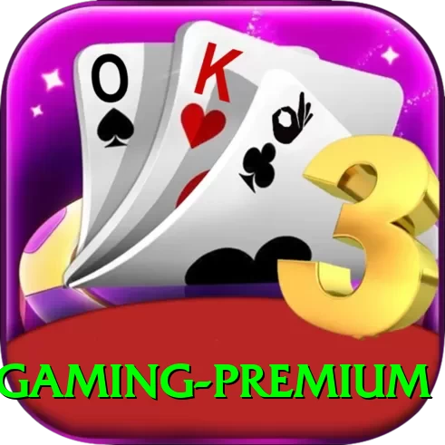 iplt20 Gaming Premium - 2