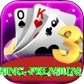 iplt20 Gaming Premium