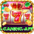 PKZ Casino Ultimate Gaming App